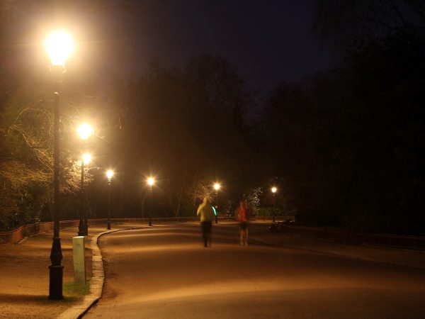 Battersea Park Armadillo Lighting (2)