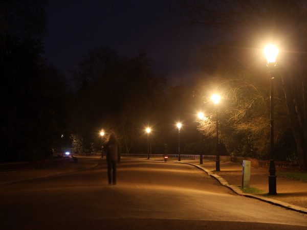 Battersea Park Armadillo Lighting (4)